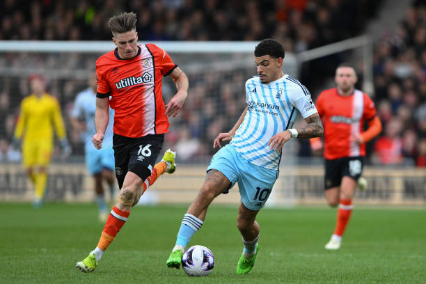 的和谐共存 的和谐共存